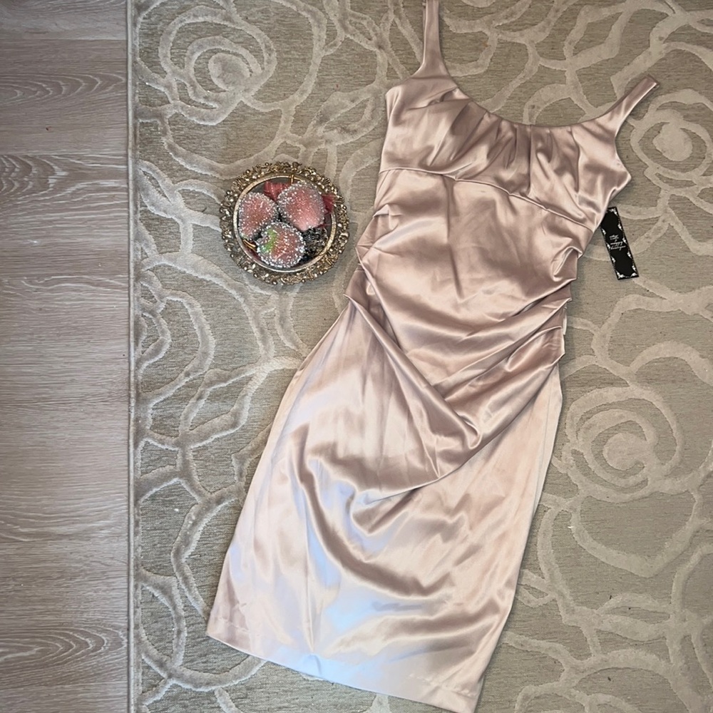 NWT🌷SUZI CHIN FOR MAGGY BOTIQUE🌷Champagne satiny sleeveless ruched dress